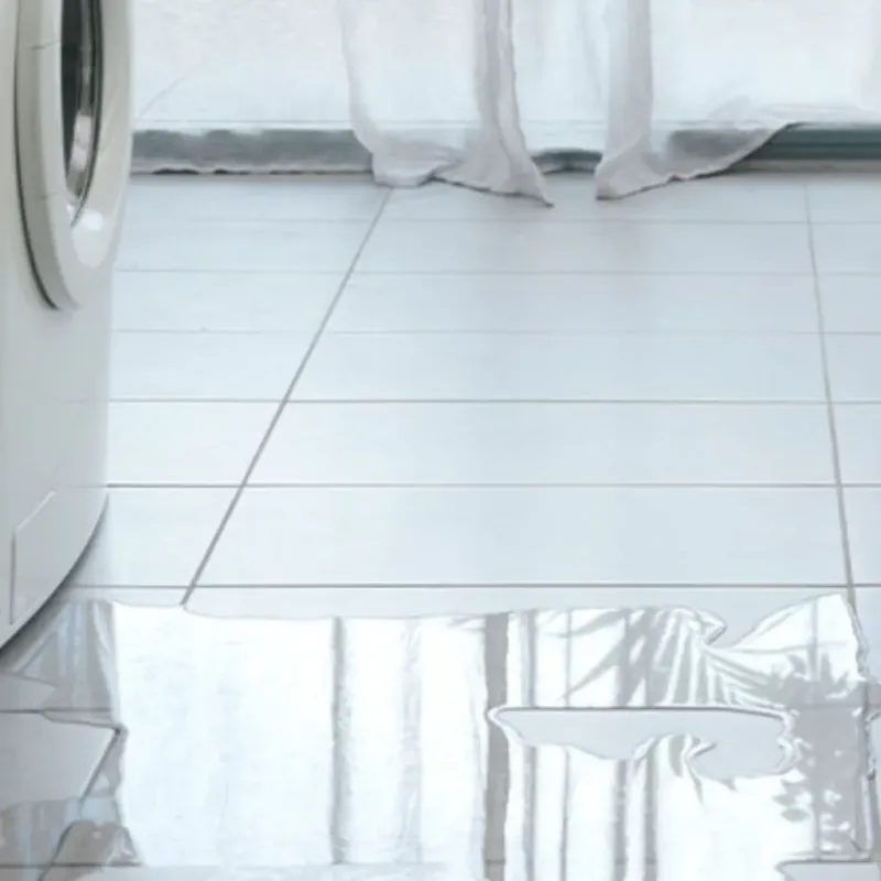 Appliance Leak Cleanup in Laurel, FL