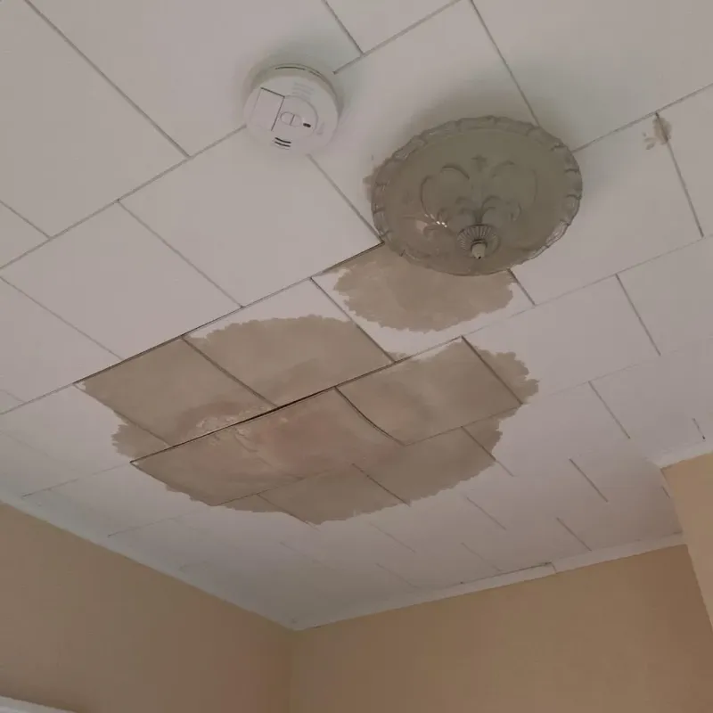 Ceiling Water Damage Repair in Laurel, FL